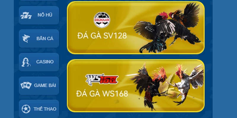 Đá gà 58WIN là sân chơi cá cược nổi tiếng nhất hiện nay